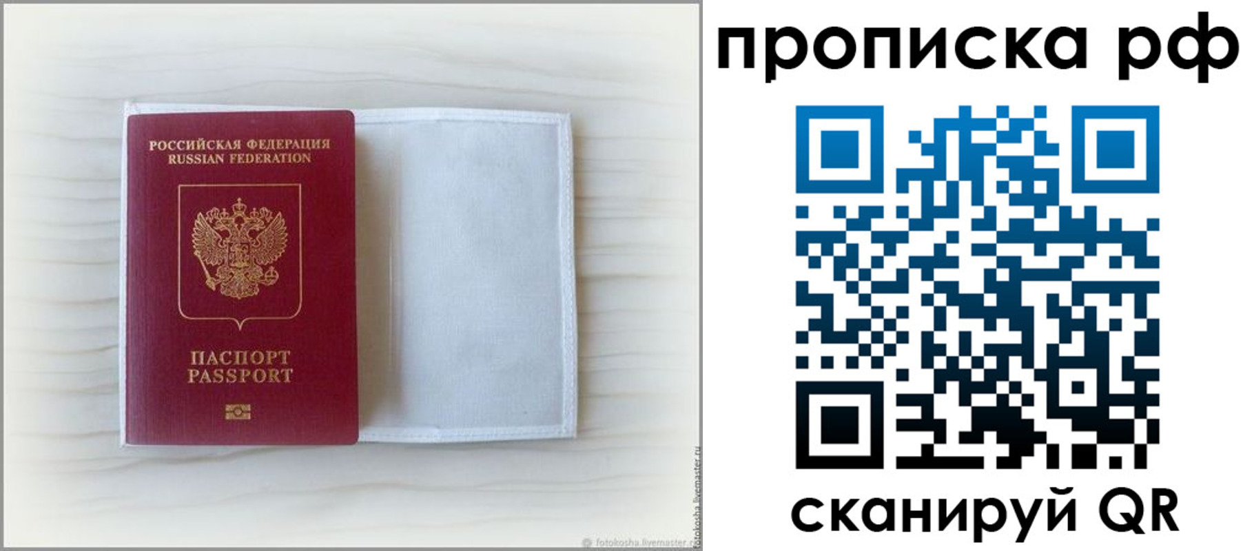 где прописаться в Ярославской области